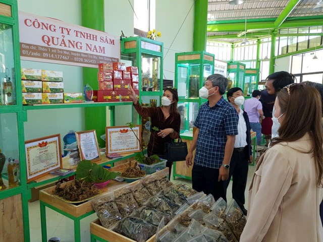 Chủ trương tổ chức phi&ecirc;n chợ s&acirc;m Ngọc Linh định kỳ hằng th&aacute;ng tại phường An Hải&nbsp;được đưa ra sau khi xem x&eacute;t đề xuất của Hội S&acirc;m Ngọc Linh Quảng Nam về việc tổ chức chương tr&igrave;nh &ldquo;H&agrave;nh tr&igrave;nh quốc bảo s&acirc;m Ngọc Linh &ndash; Phi&ecirc;n chợ s&acirc;m Ngọc Linh hằng th&aacute;ng&rdquo; tại Đ&agrave; Nẵng.