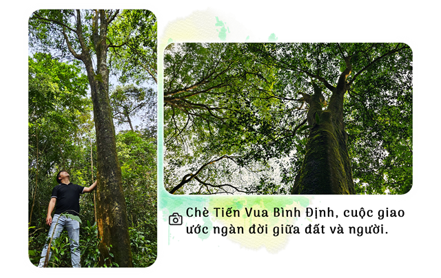 B&#224;i 2: Giữ hồn ch&#232; trong đại ng&#224;n - Ảnh 6