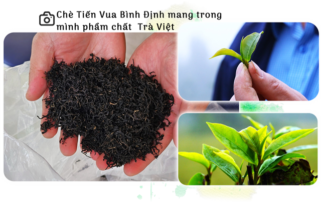 B&#224;i 2: Giữ hồn ch&#232; trong đại ng&#224;n - Ảnh 3