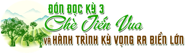 B&#224;i 2: Giữ hồn ch&#232; trong đại ng&#224;n - Ảnh 10