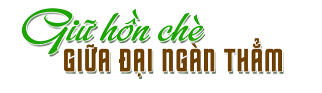 B&#224;i 2: Giữ hồn ch&#232; trong đại ng&#224;n - Ảnh 5