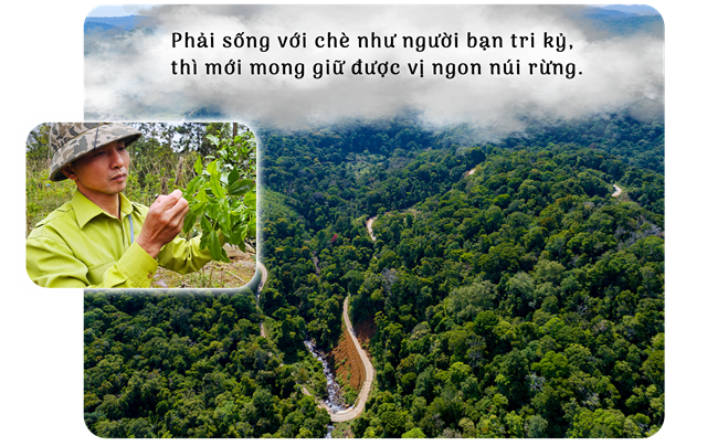 B&#224;i 2: Giữ hồn ch&#232; trong đại ng&#224;n - Ảnh 7