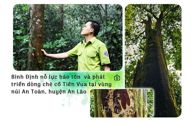 B&#224;i cuối: Ch&#232; tiến vua v&#224; h&#224;nh tr&#236;nh kỳ vọng ra biển lớn - Ảnh 3