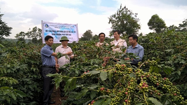 Việc thiết lập v&agrave; cấp m&atilde; số v&ugrave;ng trồng, cơ sở đ&oacute;ng g&oacute;i n&ocirc;ng sản l&agrave; y&ecirc;u cầu bắt buộc của c&aacute;c thị trường v&agrave; th&ocirc;ng lệ quốc tế nhằm đảm bảo tu&acirc;n thủ c&aacute;c quy định của nước nhập khẩu về kiểm dịch thực vật, an to&agrave;n thực phẩm v&agrave; truy xuất nguồn gốc.