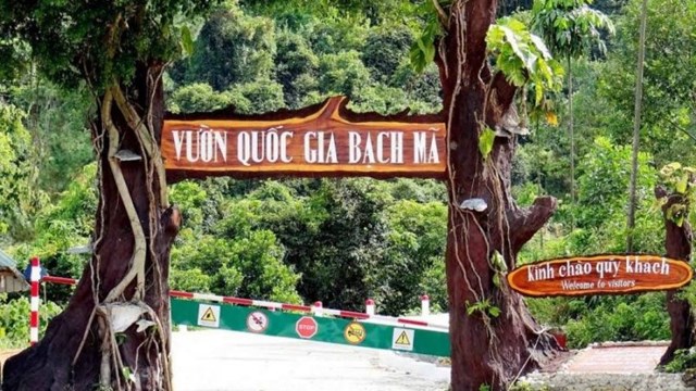 Đánh thức “trục di sản xanh” phía Nam Huế - Ảnh 1