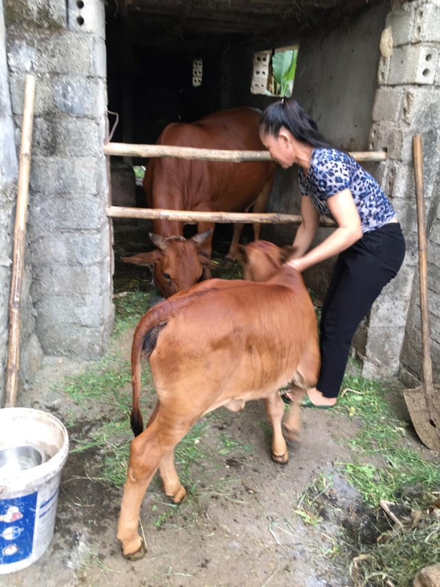 Chị Trương Thị Duy&ecirc;n, Tổ trưởng Tổ tiết kiệm v&agrave; vay vốn th&ocirc;n Thọ Hạ (x&atilde; Quảng Sơn, thị x&atilde; Ba Đồn, Quảng B&igrave;nh) đ&atilde; gi&uacute;p nhiều hộ ngh&egrave;o v&agrave; đối tượng ch&iacute;nh s&aacute;ch tiếp cận với nguồn vốn vay ưu đ&atilde;i...