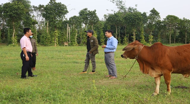 C&aacute;n bộ Ng&acirc;n h&agrave;ng CSXH, hội đo&agrave;n thể nhận ủy th&aacute;c kiểm tra nguồn vốn vay