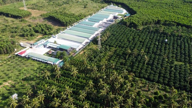 Từ những g&#242; đồi cằn cỗi vươn l&#234;n th&#224;nh tỷ ph&#250; n&#244;ng d&#226;n - Ảnh 2