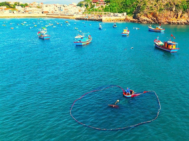 “Mặt biển nở hoa” giữa m&#249;a đ&#225;nh bắt, vũ điệu lưới c&#225; ở l&#224;ng ch&#224;i Gia Lai - Ảnh 7
