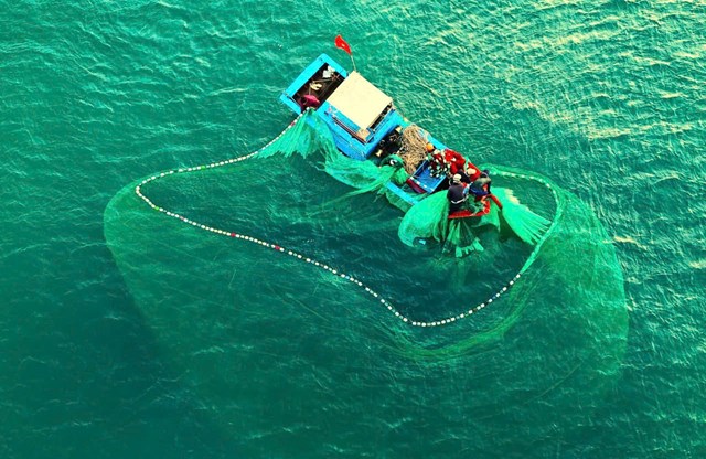 “Mặt biển nở hoa” giữa m&#249;a đ&#225;nh bắt, vũ điệu lưới c&#225; ở l&#224;ng ch&#224;i Gia Lai - Ảnh 2
