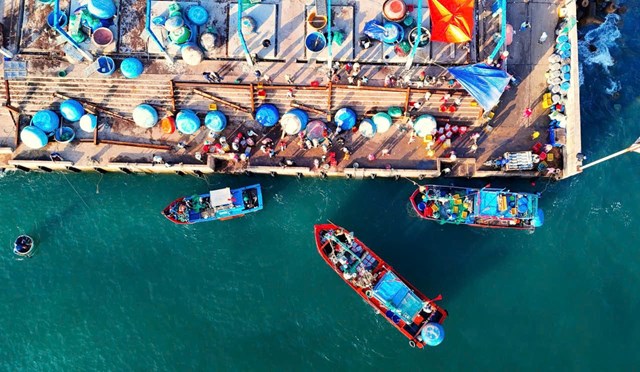 “Mặt biển nở hoa” giữa m&#249;a đ&#225;nh bắt, vũ điệu lưới c&#225; ở l&#224;ng ch&#224;i Gia Lai - Ảnh 3