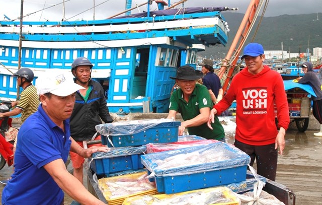 Thuỷ hải sản đ&aacute;nh bắt được sau khi nhập về Cảng c&aacute; Thọ Quang sẽ được vận chuyển đi ti&ecirc;u thụ c&aacute;c nơi.&nbsp;