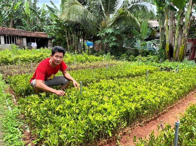 Anh Duy b&ecirc;n vườn ươm giống c&acirc;y ch&egrave; Dung tại vườn nh&agrave;