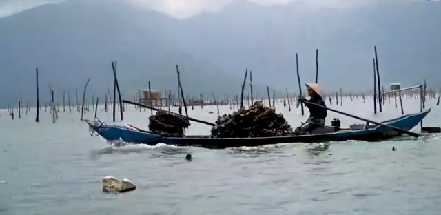 Kh&ocirc;ng gian đầm Lập An, nơi Huế định hướng phục hồi hệ sinh th&aacute;i, sắp xếp v&ugrave;ng nu&ocirc;i thủy sản v&agrave; ph&aacute;t triển du lịch sinh th&aacute;i. (Ảnh: CTV)