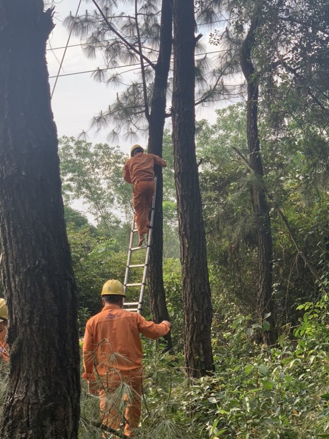 Điện lực Thừa Thi&#234;n Huế sẵn s&#224;ng ứng ph&#243; thi&#234;n tai, mưa lũ, b&#227;o lớn - Ảnh 1