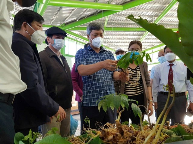 &Ocirc;ng Hồ Quang Biểu - Ph&oacute; Chủ tịch TP Đ&agrave; Nẵng tại hội trợ S&acirc;m Ngọc Linh&nbsp;