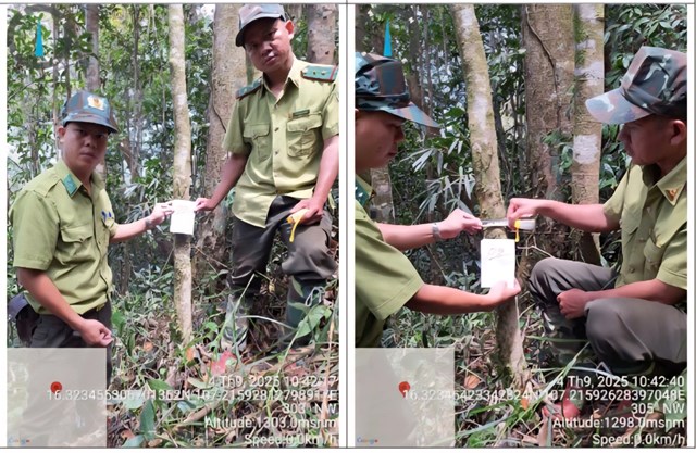Hoạt động kiểm l&acirc;m tuần tra v&agrave; ghi nhận h&igrave;nh ảnh c&acirc;y ch&egrave; rừng