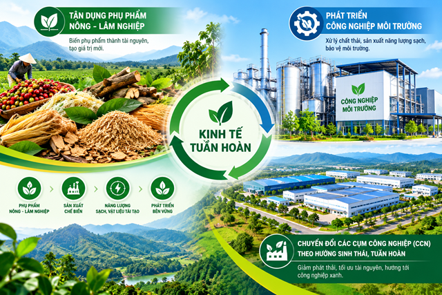 Đồ họa minh họa chu tr&igrave;nh tận dụng phụ phẩm n&ocirc;ng - l&acirc;m nghiệp, ph&aacute;t triển c&ocirc;ng nghiệp m&ocirc;i trường v&agrave; chuyển đổi c&aacute;c cụm c&ocirc;ng nghiệp theo hướng sinh th&aacute;i, tuần ho&agrave;n