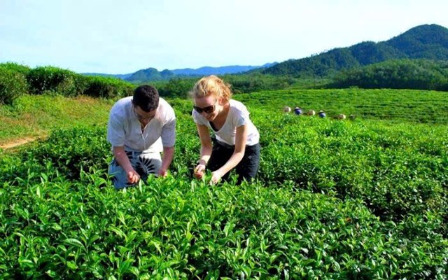 Du kh&aacute;ch tham gia h&aacute;i ch&egrave; c&ugrave;ng người d&acirc;n v&ugrave;ng ch&egrave; Đ&ocirc;ng Giang.