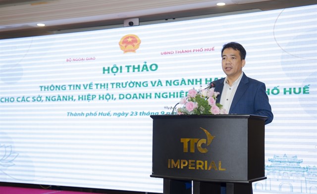 Ph&oacute; Chủ tịch UBND th&agrave;nh phố Huế Trần Hữu Th&ugrave;y Giang ph&aacute;t biểu tại hội thảo