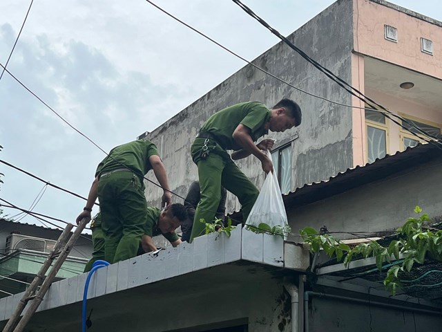 Đ&#224; Nẵng: Tập trung cao độ, khẩn trương ứng ph&#243; b&#227;o Noru - Ảnh 1