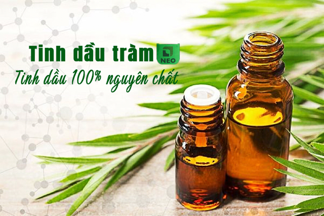 Sản phẩm dầu tr&agrave;m l&agrave; một trong những nh&oacute;m sản phẩm được định hướng n&acirc;ng cao gi&aacute; trị. Ảnh: C.T