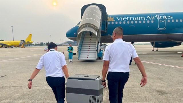 Quả tim hiến tặng từ Ph&uacute; Thọ được vận chuyển hơn 700 km về Huế
