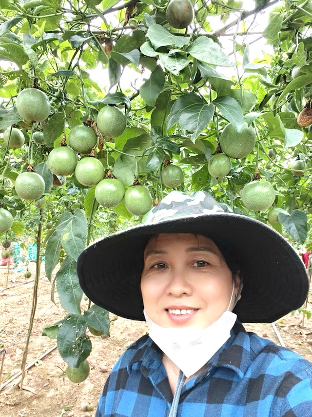 Khi n&ocirc;ng d&acirc;n được tổ chức sản xuất dưới m&aacute;i nh&agrave; chung của HTX, gi&aacute; trị n&ocirc;ng sản kh&ocirc;ng chỉ dừng ở lợi &iacute;ch kinh tế m&agrave; c&ograve;n lan tỏa tinh thần hợp t&aacute;c, ph&aacute;t huy sức mạnh cộng đồng.