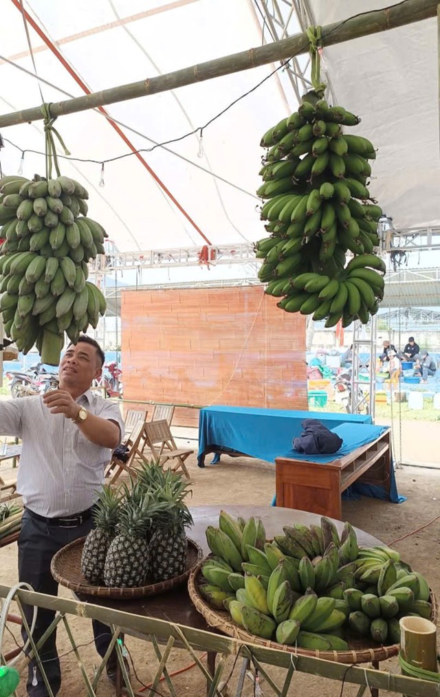 Giữa v&ugrave;ng đất đỏ bazan đầy nắng gi&oacute;, người n&ocirc;ng d&acirc;n Kr&ocirc;ng B&ocirc;ng (Đắk Lắk) đang viết n&ecirc;n c&acirc;u chuyện đổi thay bằng b&agrave;n tay cần c&ugrave; v&agrave; kh&aacute;t vọng l&agrave;m gi&agrave;u ch&iacute;nh đ&aacute;ng.