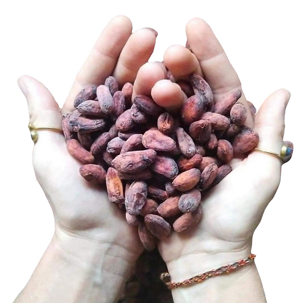 Cacao nguy&ecirc;n chất &ndash; &ldquo;vị đắng&rdquo; mang lại lợi &iacute;ch ngọt ng&agrave;o cho tr&aacute;i tim