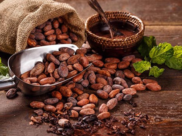 Cacao nguy&#234;n chất – “vị đắng” mang lại lợi &#237;ch ngọt ng&#224;o cho tr&#225;i tim - Ảnh 1