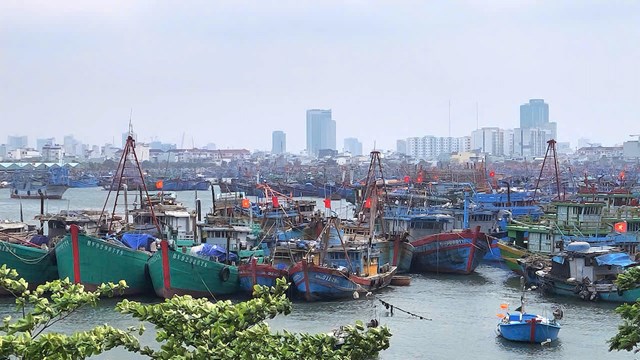Hiện UBND TP Đ&agrave; Nẵng đang chủ động k&ecirc;u gọi t&agrave;u thuyền đ&aacute;nh bắt tr&ecirc;n biển v&agrave;o bờ tr&aacute;nh gtrus b&atilde;o số 12.