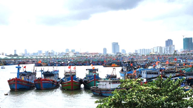 Trước dự b&aacute;o b&atilde;o k&egrave;m mưa cực lớn tại miền Trung, h&agrave;ng ngh&igrave;n t&agrave;u c&aacute; đ&atilde; dồn về &Acirc;u thuyền v&agrave; Cảng c&aacute; Thọ Quang (phường Sơn Tr&agrave;) để tr&uacute; tr&aacute;nh, khiến khu vực n&agrave;y đang chịu &aacute;p lực lớn do lượng t&agrave;u neo đậu d&agrave;y đặc.