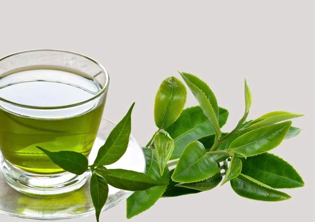 Ch&egrave; xanh c&ograve;n được giới chuy&ecirc;n gia sức khỏe xem như một &ldquo;thức uống v&agrave;ng&rdquo; cho cơ thể.