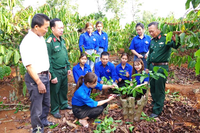 Kh&ocirc;ng chỉ x&acirc;y dựng n&ecirc;n thương hiệu c&agrave; ph&ecirc; uy t&iacute;n, những người l&iacute;nh C&ocirc;ng ty c&agrave; ph&ecirc; 15 c&ograve;n thường xuy&ecirc;n tổ chức c&aacute;c hoạt động x&atilde; hội cũng như hướng dẫn kỹ thuật trồng, chăm s&oacute;c c&agrave; ph&ecirc; chất lượng cao cho nh&acirc;n d&acirc;n địa phương, trong đ&oacute; c&oacute; c&aacute;c bạn trẻ nơi đơn vị l&agrave;m kinh tế.