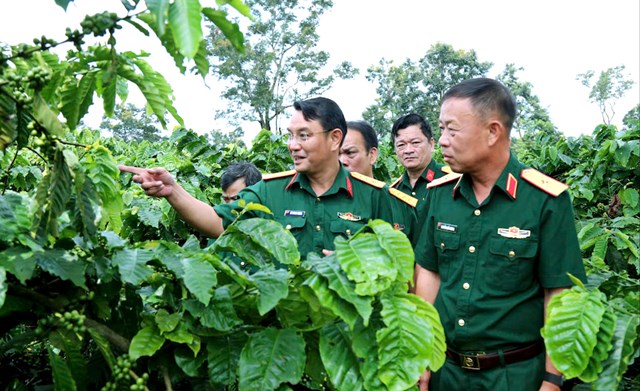 Thượng t&aacute; L&ecirc; Trung Th&agrave;nh, Gi&aacute;m đốc C&ocirc;ng ty 15 giới thiệu m&ocirc; h&igrave;nh trồng c&agrave; ph&ecirc;&nbsp;hữu cơ cao cấp của đơn vị với Thủ trưởng v&agrave; th&agrave;nh vi&ecirc;n đo&agrave;n c&ocirc;ng t&aacute;c của Qu&acirc;n khu 5.