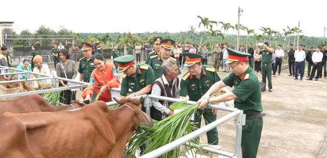 Đồng bào nhận bò giống từ Công ty cà phê 15, hỗ trợ sinh kế và phát triển cộng đồng.