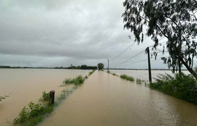 Mưa lũ những ngày qua làm nhiều địa phương trên địa bàn tỉnh Quản Ngãi ngập lụt nặng, bị chia cắt.
