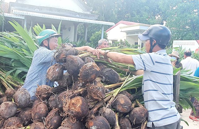 &#212;ng Năm Ch&#226;u về l&#224;ng - Ảnh 1