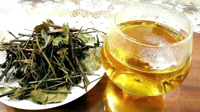 D&acirc;n gian lấy th&acirc;n l&aacute; c&acirc;y ch&egrave; vằng phơi hoặc sấy kh&ocirc;, nấu nước uống.