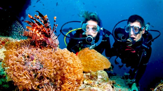 Lặn san h&ocirc; tr&ecirc;n Vịnh Đ&agrave; Nẵng&nbsp;(ảnh: Internet).