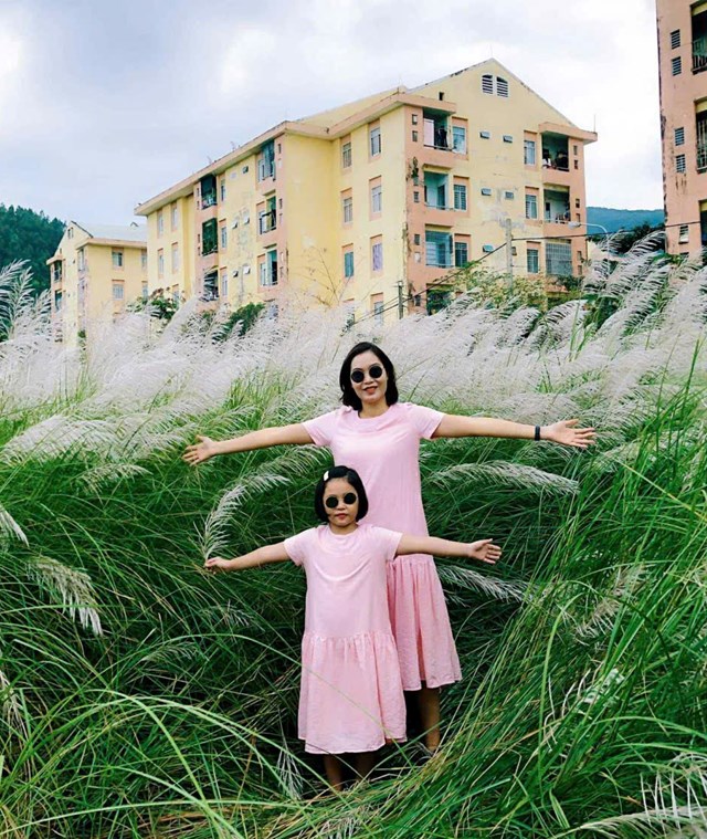 Sau b&atilde;o số 13 vừa qua, khi nh&igrave;n thấy lau lại nở trắng x&oacute;a nơi bờ s&ocirc;ng, nhiều người rủ nhau đi chụp ảnh v&agrave; n&oacute;i vui: &ldquo;Lau trổ rồi, b&atilde;o hết rồi&rdquo;.