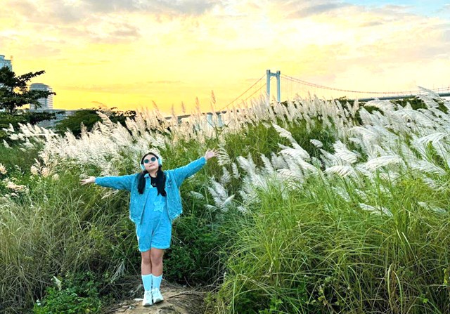 Khi lau sậy trổ b&#244;ng - Ảnh 1