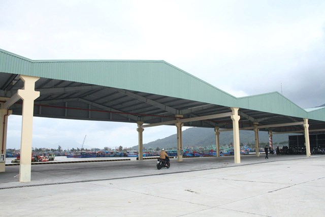 Sau khi ho&agrave;n th&agrave;nh, Cảng c&aacute; Thọ Quang đ&aacute;p ứng ti&ecirc;u chuẩn cảng c&aacute; loại I, đồng thời l&agrave; khu neo đậu an to&agrave;n cho t&agrave;u thuyền tr&aacute;nh tr&uacute; b&atilde;o, g&oacute;p phần bảo vệ ngư d&acirc;n khu vực miền Trung.