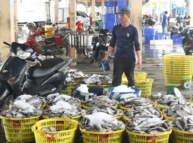 Ho&#224;n thiện hạ tầng nghề c&#225; hiện đại, th&#250;c đẩy kiểm so&#225;t IUU tại cảng c&#225; lớn nhất miền Trung - Ảnh 1