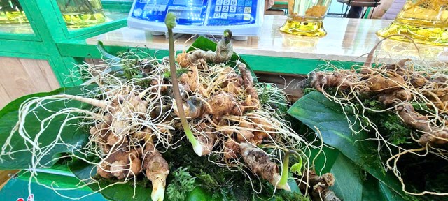 Kế hoạch lễ hội năm 2025 nhấn mạnh những nội dung rất đ&aacute;ng ch&uacute; &yacute; như bảo vệ nguồn gen, chống h&agrave;ng giả, n&acirc;ng cao tr&aacute;ch nhiệm cộng đồng v&agrave; doanh nghiệp trong quản l&yacute; rừng.