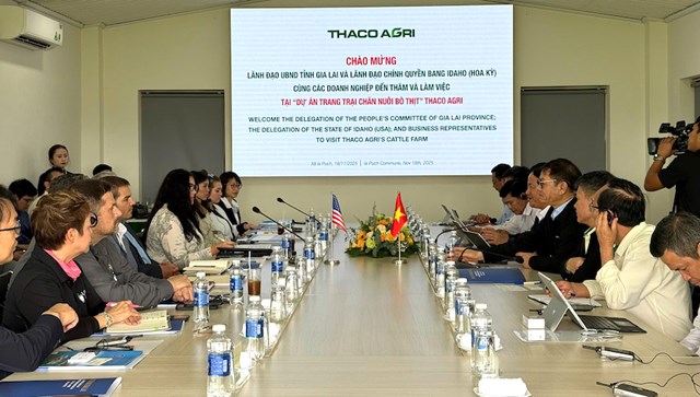 Quang cảnh buổi l&agrave;m việc.