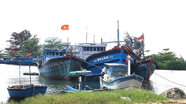 Dọc theo c&aacute;c x&oacute;m ch&agrave;i ven biển Sơn Tr&agrave; như X&oacute;m B&atilde;i Bụt, X&oacute;m Đ&aacute; Đen, X&oacute;m G&agrave;nh, cuộc sống của cư d&acirc;n vẫn giữ nhịp điệu quen thuộc từ nhiều thế hệ.