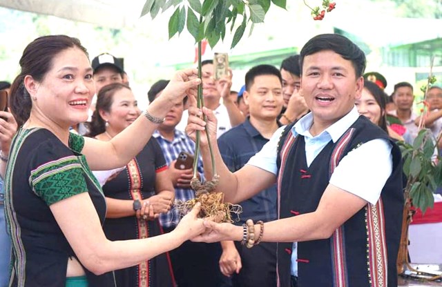 Cần phải x&acirc;y dựng thương hiệu quốc gia cho s&acirc;m Việt Nam.