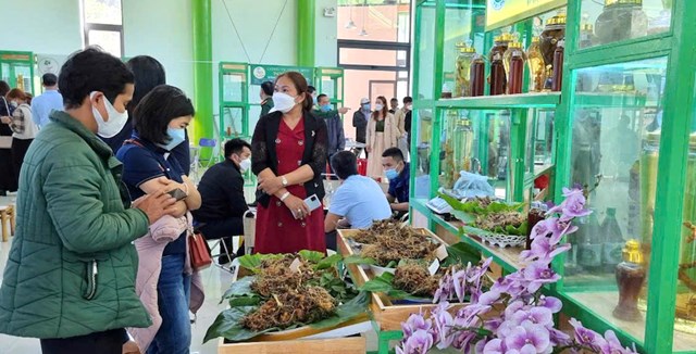 Trung t&acirc;m Lễ hội S&acirc;m Ngọc Linh l&agrave; nơi được địa phương tổ chức Hội chợ s&acirc;m h&agrave;ng th&aacute;ng.